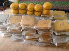 Koutiala : Saisie de 120 briques de chanvre indien dissimulées dans de la patate douce