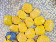 Lutte contre la drogue : réseaux