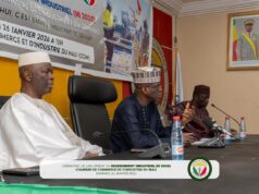 Mali : Lancement du recensement industriel national..