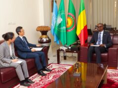 Présentation des Lettres de créance : Les Pays-Bas et la Chine renforcent leurs liens avec le Mali