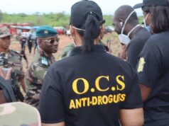 L’Office Central des Stupéfiants (OCS) : Le Bilan 2025 pulvérise