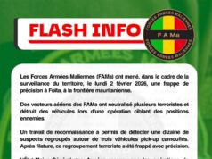 Les Forces Armées Malienne (FAMa) ont mené, dans le cadre de la serveillance du territoire