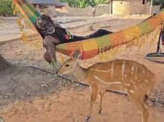 COMMUNIQUÉ N°004/2026 DE DÉNONCIATION ET DE CONDAMNATION