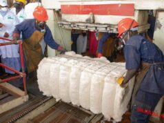 Coton africain : Halte à la désinformation ! Qui veut « déclasser » le Mali ?