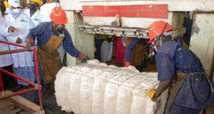 Coton africain : Halte à la désinformation ! Qui veut « déclasser » le Mali ?