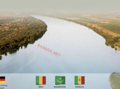Port d’Ambidédi : le Mali de plus en plus proche de son rêve