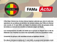 FAMa Actu