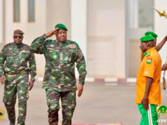 DÉFENSE Le Niger crée les «Domol Leydi», nouvelles unités territoriales d’autodéfense