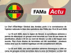 #FAMa Actu