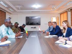 Coopération Mali–Canada : échanges sur le partenariat économique et sécuritaire