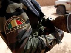 Face à la puissance de feu des FAMa et alliés : La coalition JNIM-FLA plus de 2000 combattants neutralisés